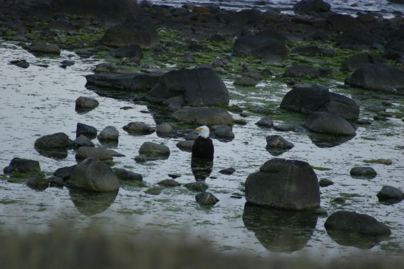 062404 Haines AK (10090)